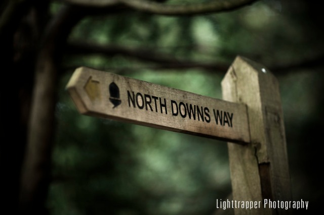 Pilgrim Challenge - North Downs Way